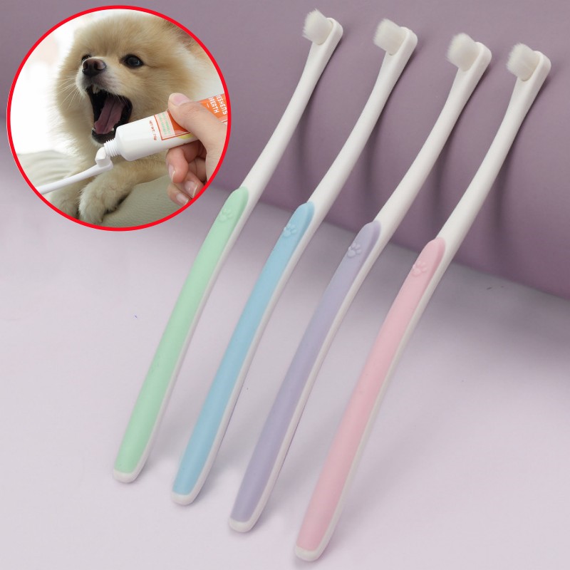 Sikat Gigi Anjing Sikat Gigi B - Teeth Whitening Brush ulasan dan harga