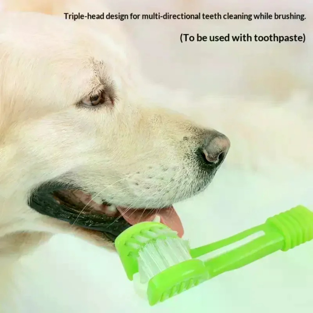 Sikat Gigi Hewan Peliharaan 3  - Teeth Whitening Brush ulasan dan harga