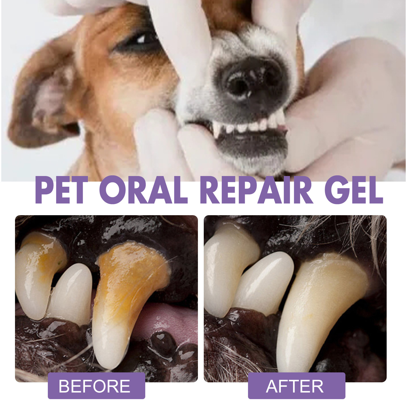 Gel perbaikan mulut hewan peli - Teeth Whitening Doctor ulasan dan harga
