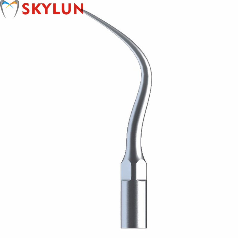 5PCS P4 Tip Scaler Ultrasonik  - Teeth Whitening Usa ulasan dan harga
